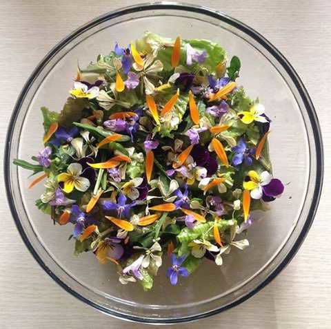 A bowl is filled with an edible flower salad